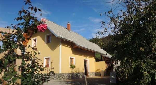 Vineyard Cottage Lisec Relaxation