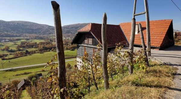 Vineyard cottage Ludvikov hram