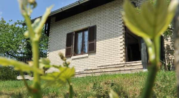 Vineyard Cottage Vrbek