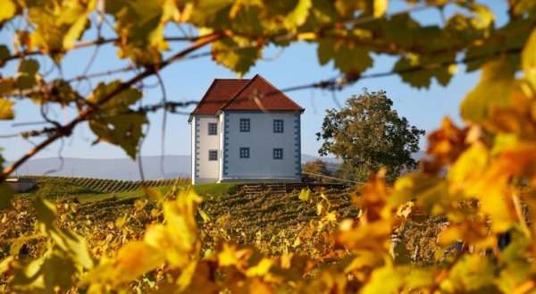 Wine Grower's Mansion Zlati Gric