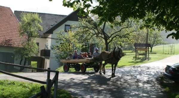 Tourist Farm Ljubica