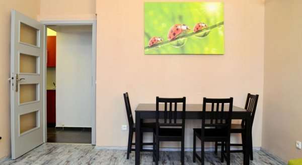 Apartment Manesova