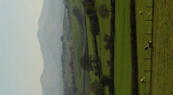 Caebetran Farm & The Stable