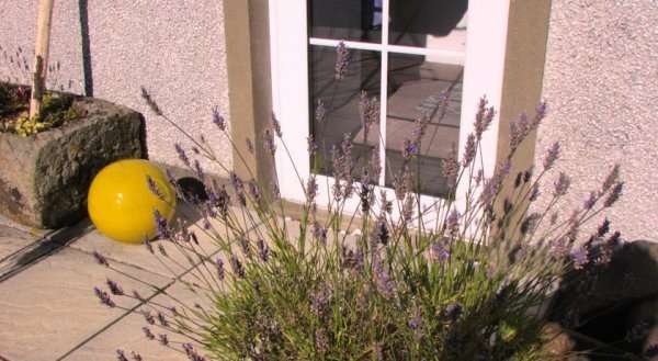 Causeway Smithy B&B