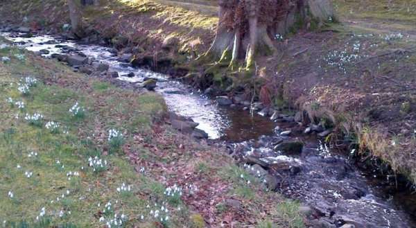 Tweed View B&B