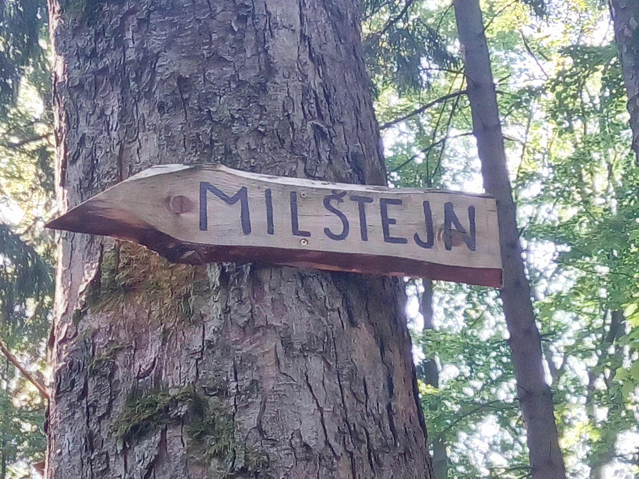 Milštejn