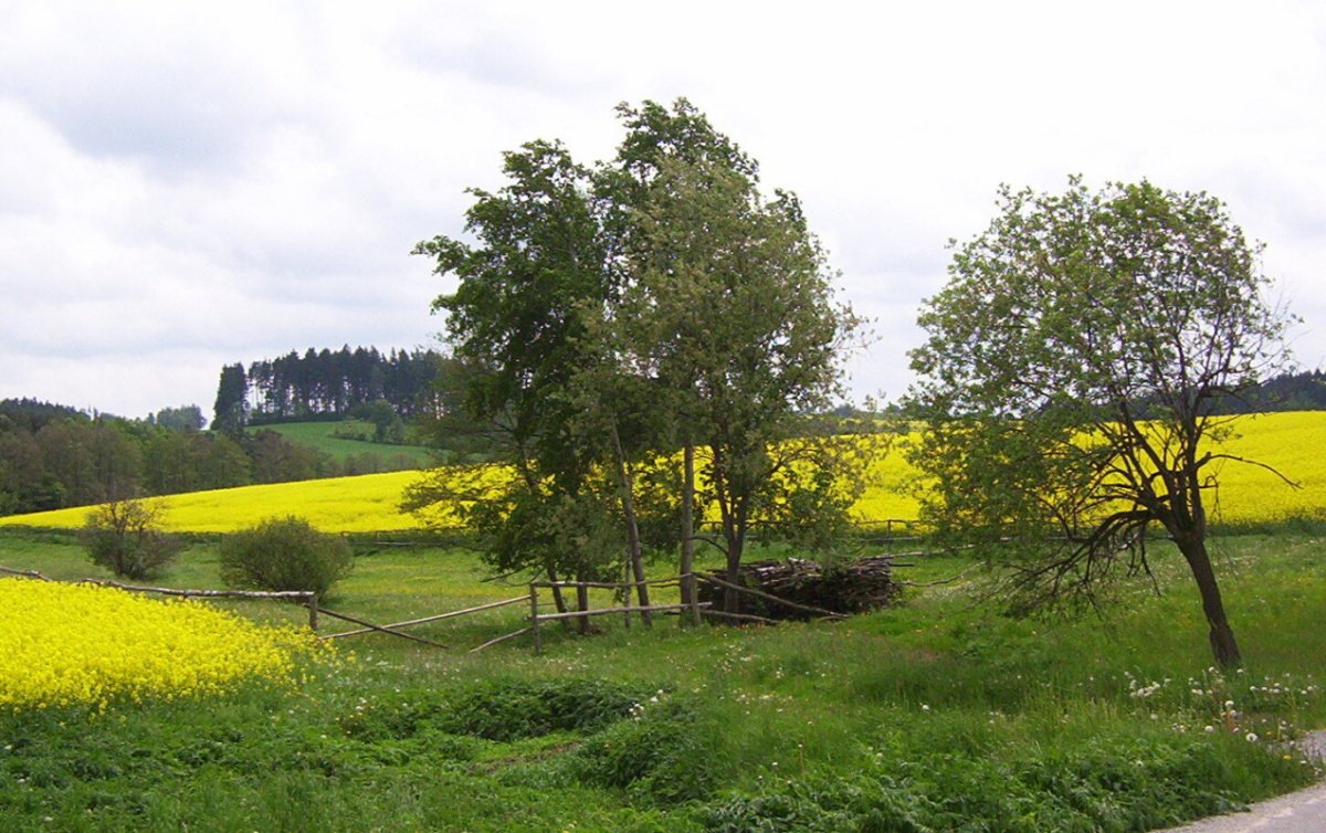 Roštejn