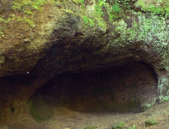 Venušina sopka